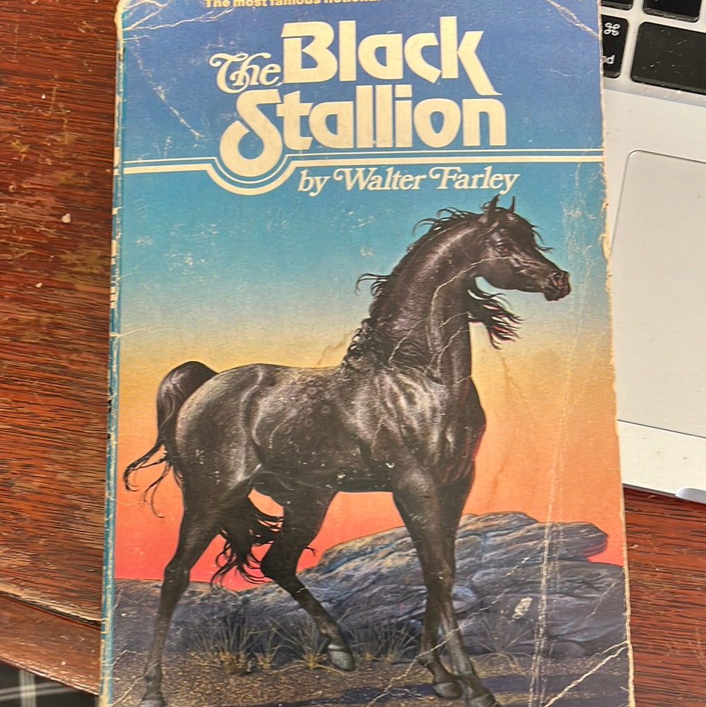 The Black Stallion by Walter Farley 1969 paperback - with signs of wear (no jacket)