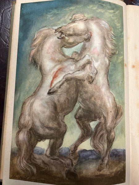 Mary O’Hara’s Thunderhead - gently used 1943