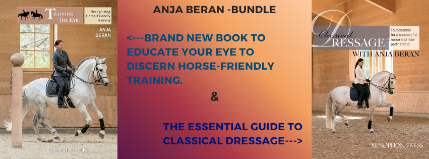TRAINING THE EYE: Recognizing Horse-Friendly Training by ANJA BERAN