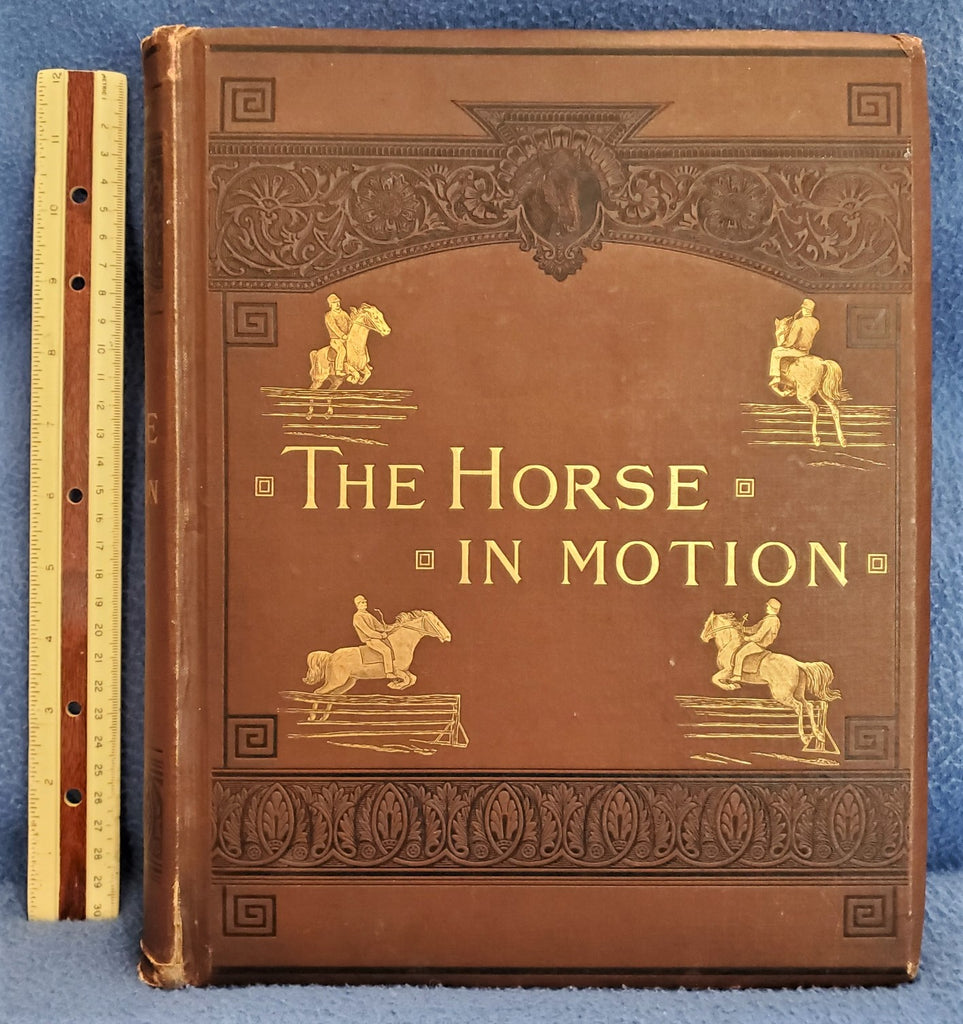 THE HORSE IN MOTION as shown by instantaneous photography WITH A STUDY ON ANIMAL MECHANICS founded on the anatomy and the revelations of the camera IN WHICH IS DEMONSTRATED THE THEORY OF QUADRUPEDAL LOCOMOTION