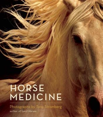 Horse Medicine by Tony Stromberg - gently used copy, may have bumped corners-