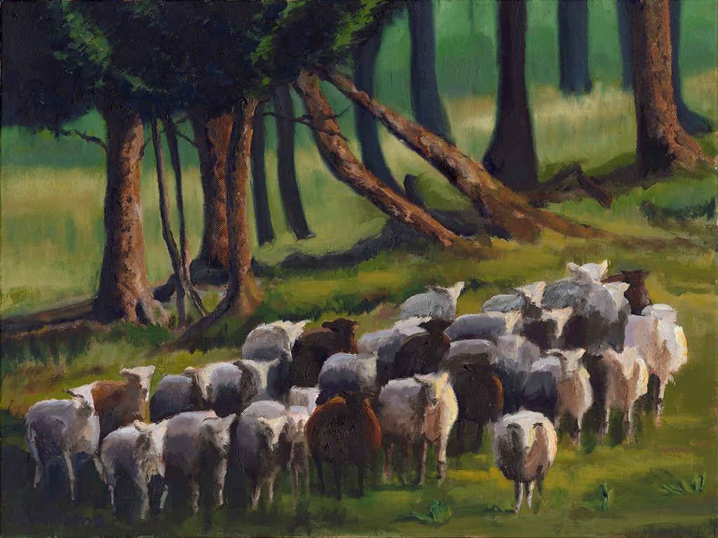  “27 sheep” by Richard F. Williams Fine Art Giclée on Canvas