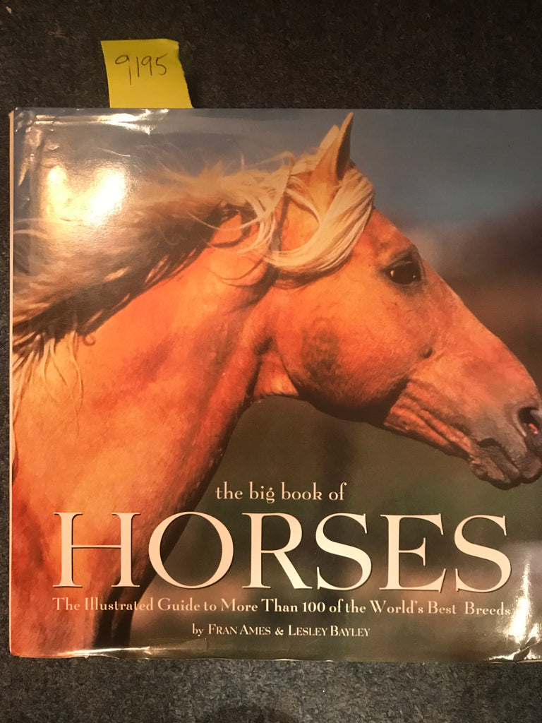 The Big Book of Horses: The Illustrated Guide to More Than 100 of the World's Best Breeds - gently used Hardcover