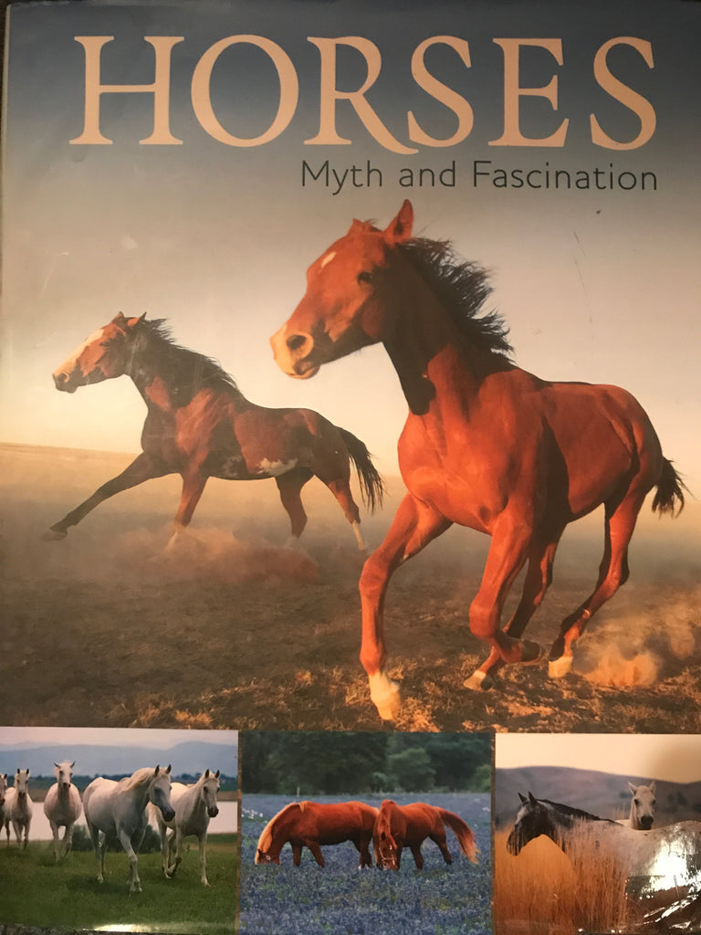 Horses: Myth and Fascination - gently used Hardcover