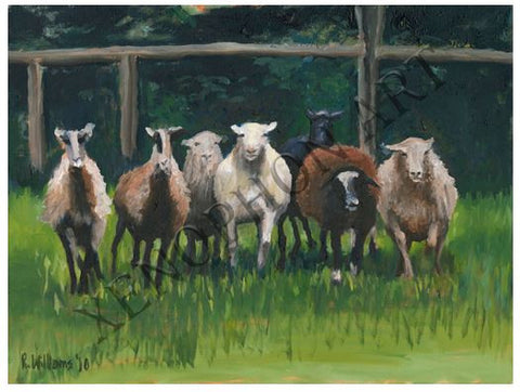 "Stampeding Sheep" by Richard F. Williams Art Giclée on Canvas